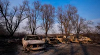Charred vehicles sit at an auto body shop after the property was burned by the Smokehouse Creek Fire, Wednesday, Feb. 28, 2024, in Canadian, Texas. (AP Photo/Julio Cortez)