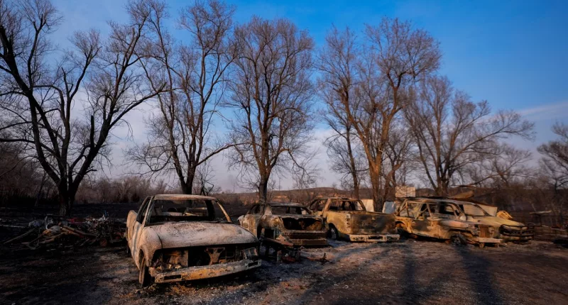 Charred vehicles sit at an auto body shop after the property was burned by the Smokehouse Creek Fire, Wednesday, Feb. 28, 2024, in Canadian, Texas. (AP Photo/Julio Cortez)