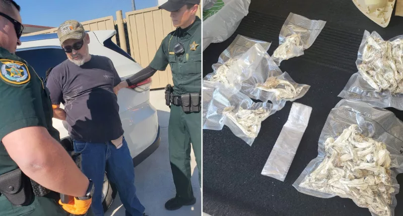 Florida Uber driver sold drugs to detectives in town for narcotics investigation convention: authorities