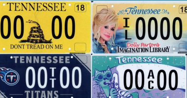 Friends of Sycamore Shoals Historic Area was most popular TN specialty plate in 2023