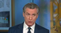 Gavin Newsom says Nikki Haley is one of Democrats' 'better surrogates'