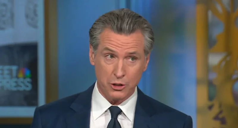 Gavin Newsom says Nikki Haley is one of Democrats' 'better surrogates'