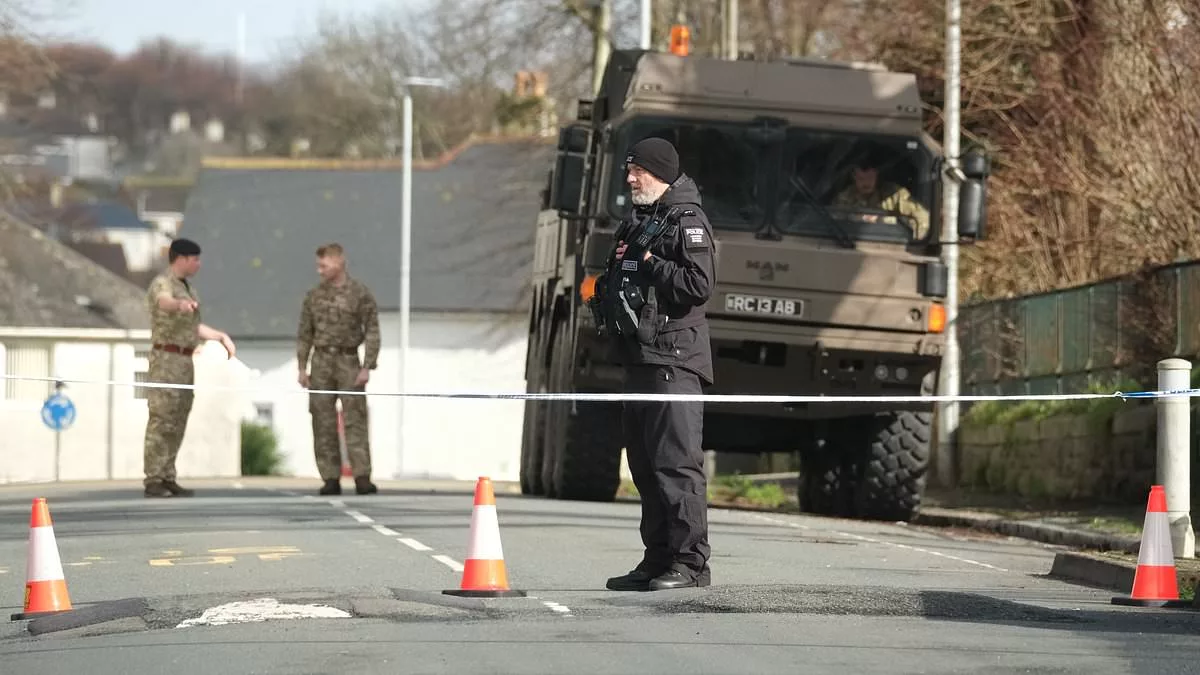 Get out of Plymouth NOW: World watches as army begins nerve-shredding process of carrying live Nazi bomb through streets of Devon city and dropping it into sea after 'largest post-war evacuation' (but just half a mile away, it's time for a pint! )