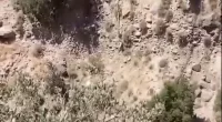 A young man has died in mid-air during a bungee jump