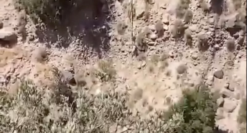 A young man has died in mid-air during a bungee jump