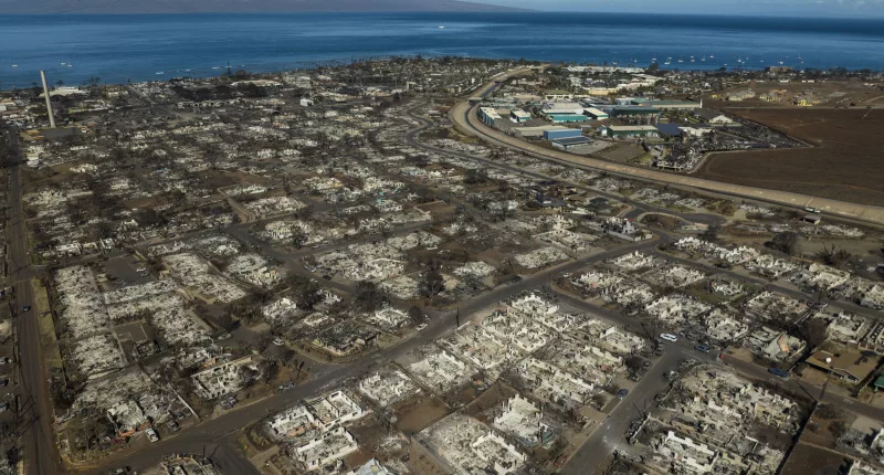 Displaced fire survivors in Hawaii were built tiny homes — but red tape has stopped them from moving in