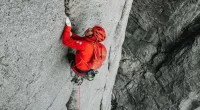 Alex Honnold gay