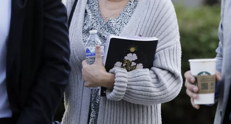 Socialite Rebecca Grossman, seen walking into court with her husband on Wednesday, stands accused of killing two young boys in a fatal hit-and-run
