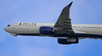 Maggots rain down on Delta passenger; plane forced to turn around