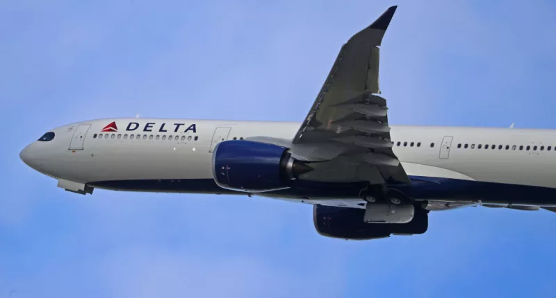 Maggots rain down on Delta passenger; plane forced to turn around