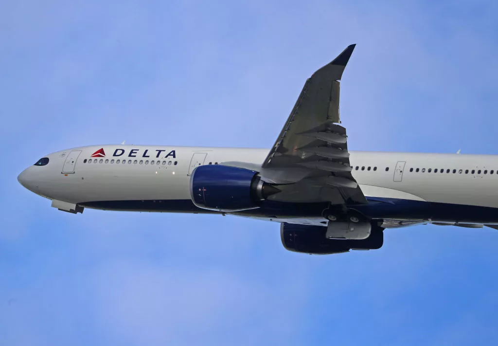 Maggots rain down on Delta passenger; plane forced to turn around