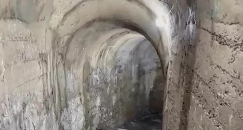 Moment mother finds secret WW2 air raid shelter in her garden