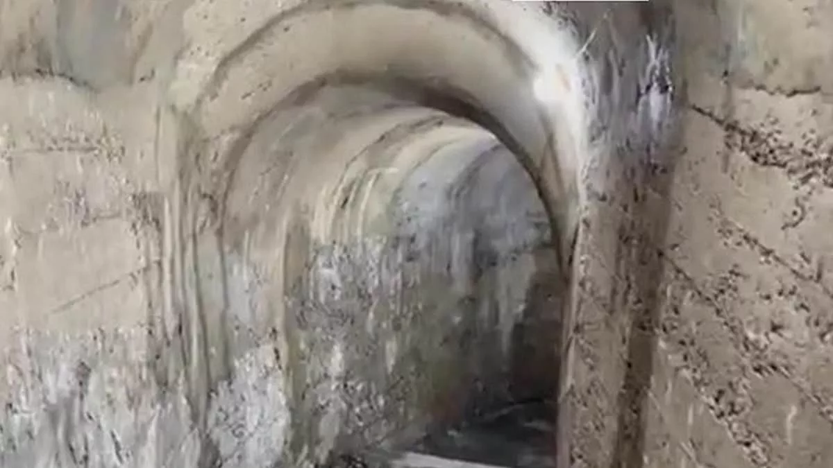 Moment mother finds secret WW2 air raid shelter in her garden