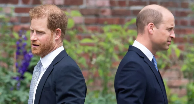 Prince William Does NOT Want Harry Back as A Royal While Dad Battles Cancer: Report