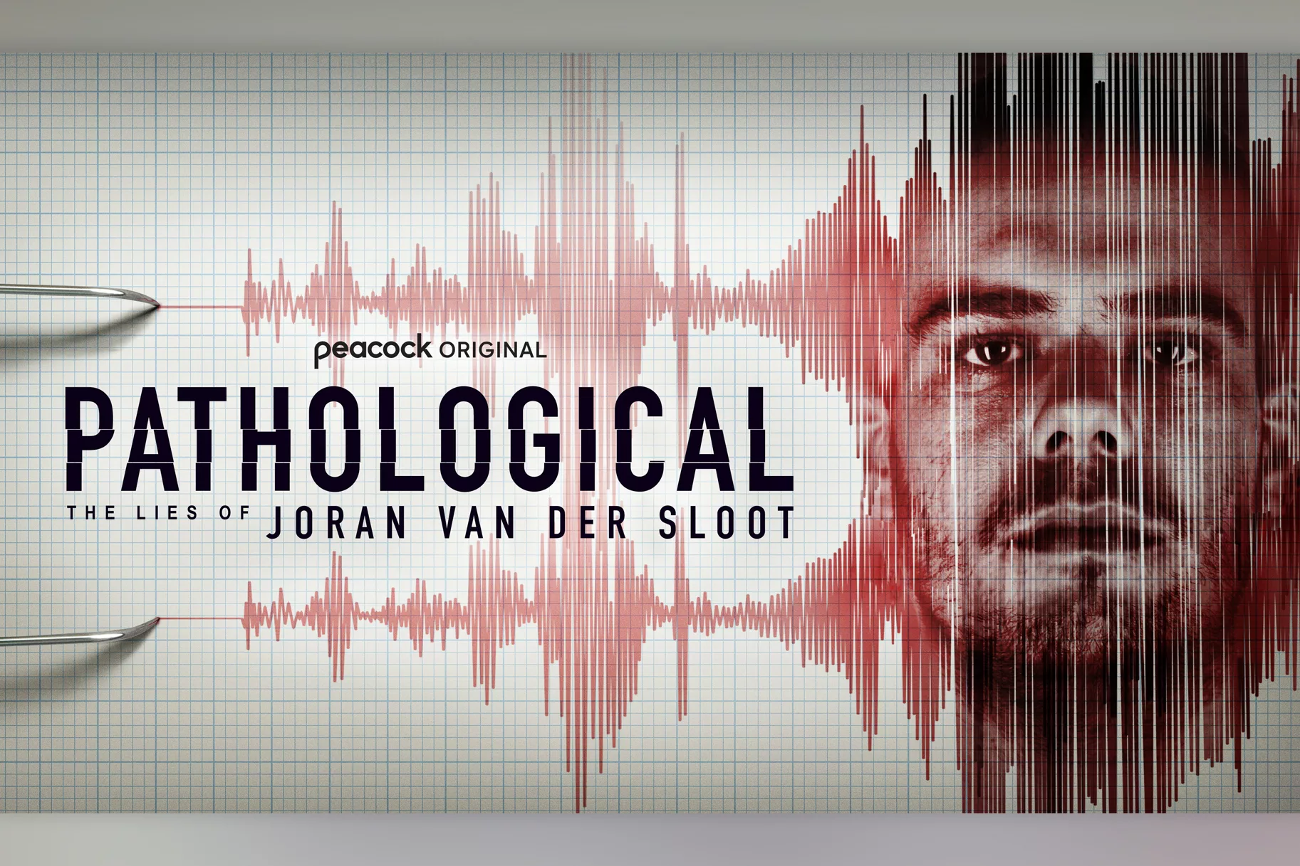 Pathological: The Lies Of Joran Van Der Sloot key art