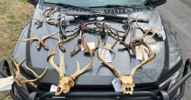 TWRA: Hawkins County man sentenced after poaching deer, pointing gun at landowner
