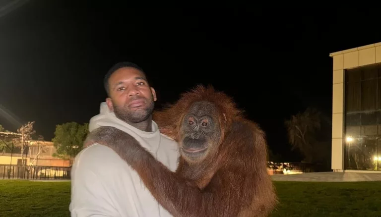 The Whereabouts of Mike Holston: An Update on His Current Status