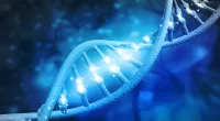 US study uncovers 275 million entirely new genetic variants