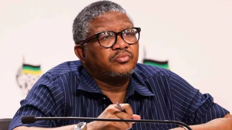 Who Is Jabu Mbalula? Fikile Mbalula Brother And Age Gap