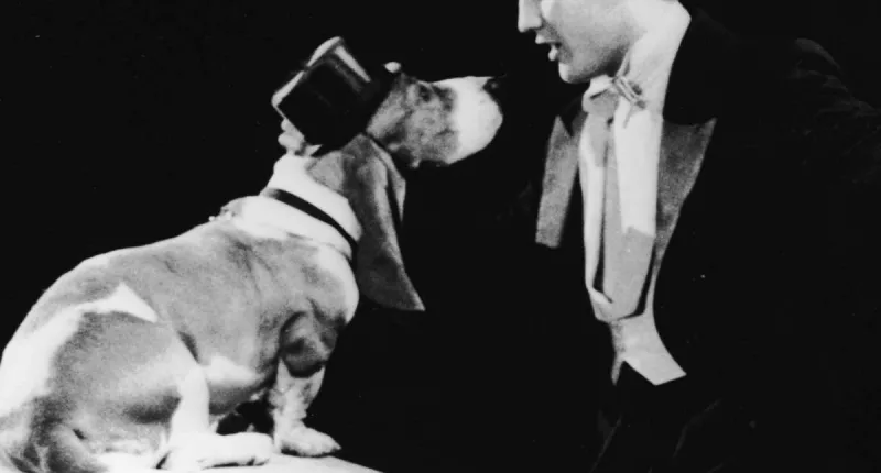 Why the Writer of 'Hound Dog' Learned to Love Elvis' Cover