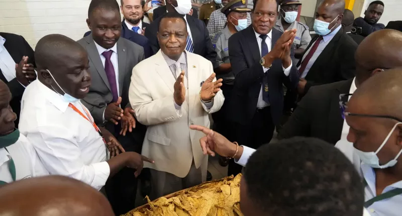 Zimbabwe VP says government will block LGBTQ scholarship initiative