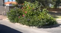 An Arizona resident expressed her disapproval over her homeowners association's decision to fine her neighbor for planting a garden