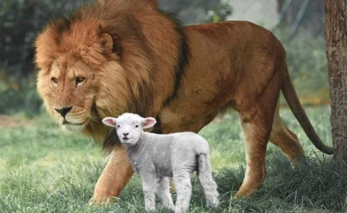 Beyond the Lion and the Lamb: Let’s talk about March folklore