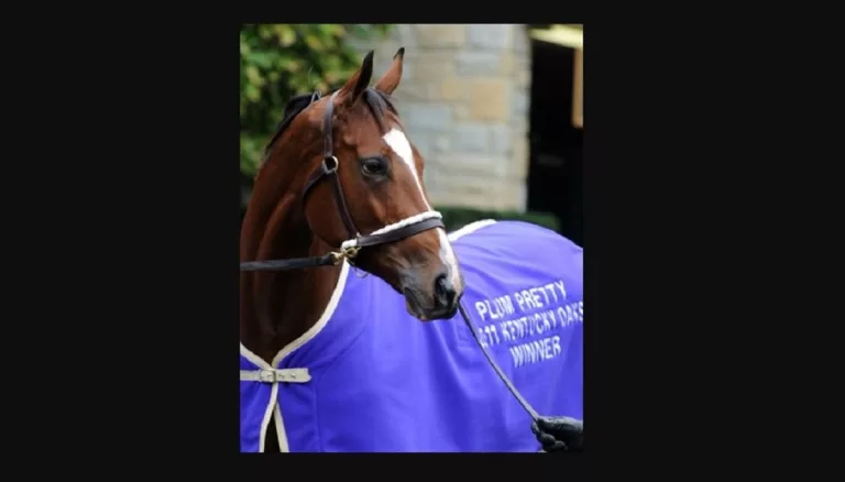 Cause of Death for Plum Pretty Horse: What Led to Her Passing?