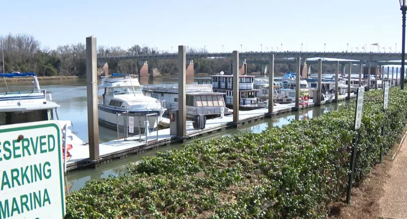 Commissioners continue discussion on 5th Street Marina problems