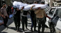 Foreign Secretary David Cameron has called for an urgent probe into the deaths of 117 Palestinians killed waiting for an aid convoy