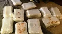 Drug task force foils sale of 110 pounds of meth