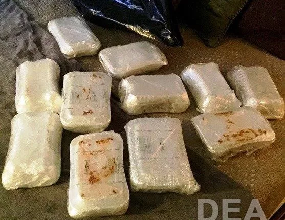 Drug task force foils sale of 110 pounds of meth