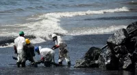 Dutch forces deployed to Caribbean territory hit by major oil spill