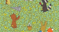 Spot the hidden bee in 10 seconds