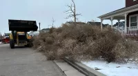Massive tumbleweed wave rolls across Utah