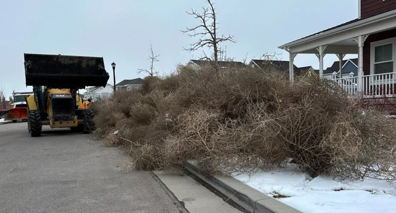 Massive tumbleweed wave rolls across Utah