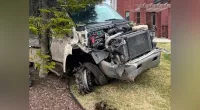 Michigan man steals dog at gunpoint, leads police on chase in stolen tree trimming truck before crashing: PD