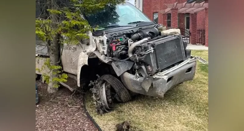 Michigan man steals dog at gunpoint, leads police on chase in stolen tree trimming truck before crashing: PD