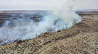 Organizations work to assist dozens of families displaced by Texas wildfires