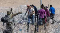 Riley Gaines and Elon musk call for faster legal immigration