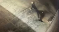 CCTV footage captured the bizarre moment the alleged burglar appeared to limber up before the break-in