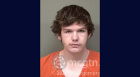 Teenager pleads guilty to stabbing grandmother, her fiance