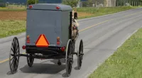 Twins accused of switching places in crash that killed 2 Amish kids