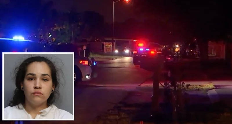 Florida woman fatally stabbed father of her son: Police