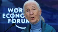 Jane Goodall to celebrate 90th birthday with talks on urgency of environmental action