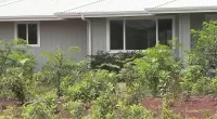 Woman stunned after $500,000 Hawaii house is built on her plot of land