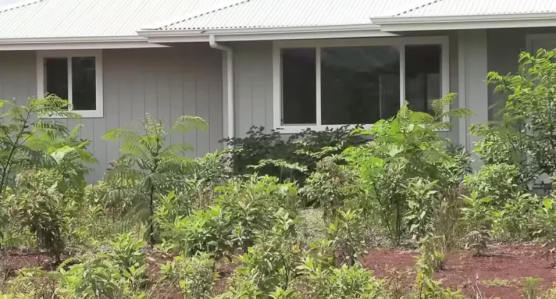 Woman stunned after $500,000 Hawaii house is built on her plot of land