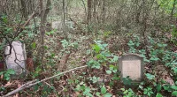 A historical burial site from the 1800s that has been left in disarray is now at the heart of a legal battle