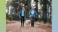 mature happy couple wearing backpacks hiking on a trail with their dog, surrounded by trees