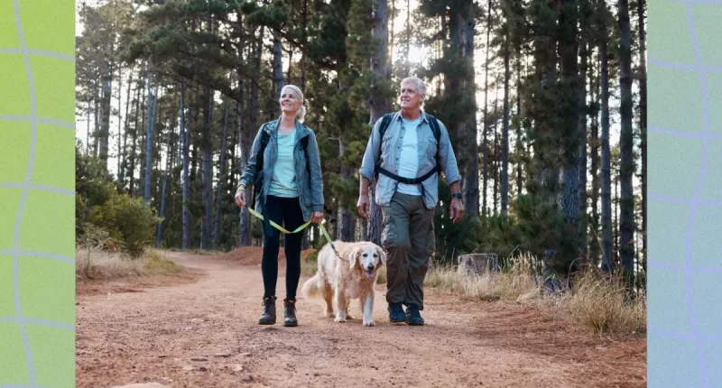 mature happy couple wearing backpacks hiking on a trail with their dog, surrounded by trees